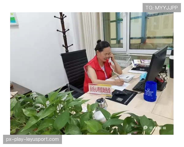 球迷区官方志愿者心理健康档案管理与支持通道说明